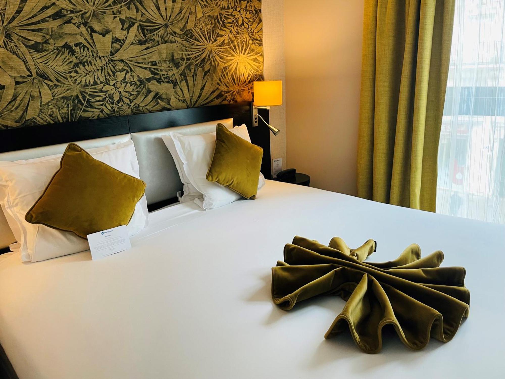 Western Allegro Nation